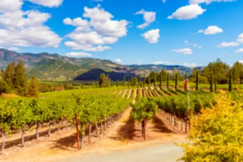 World Cruise Adventure: Discover Exotic Destinations on a Long-Haul Voyage