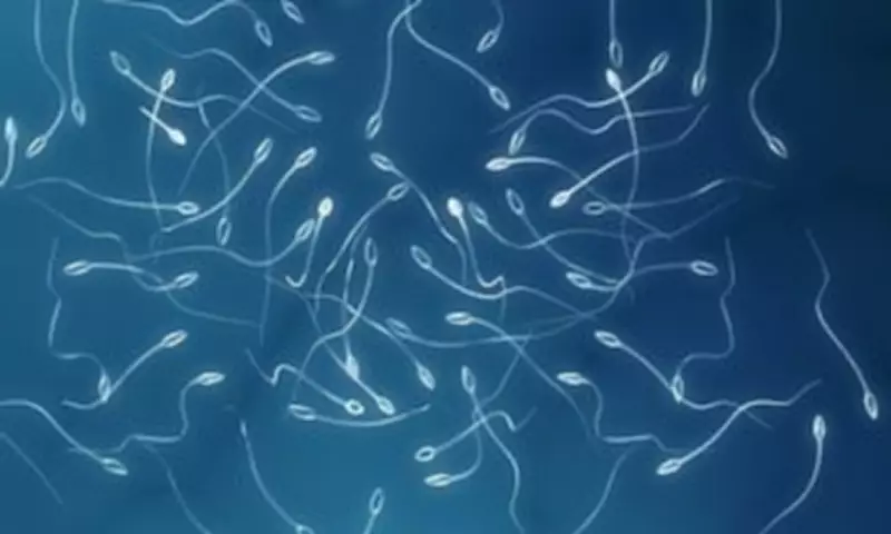 World's first frozen testicular tissue transplant restores sperm production in infertile man