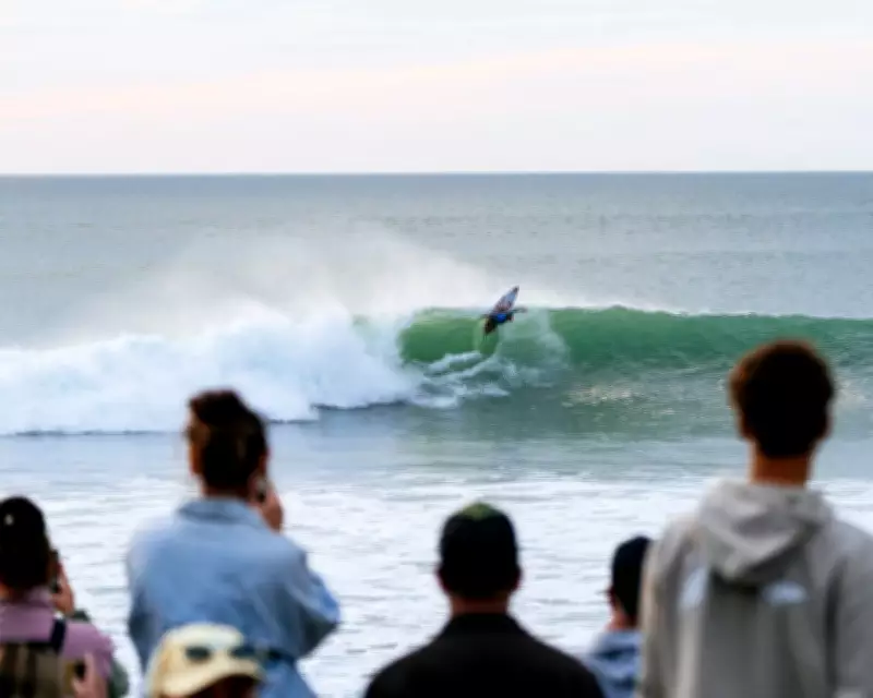WSL Event in New Zealand Suspended After Shark or Sea Lion Bite
