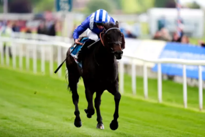 York Racing Tips: Best Bets and Predictions for Friday at Dante Festival