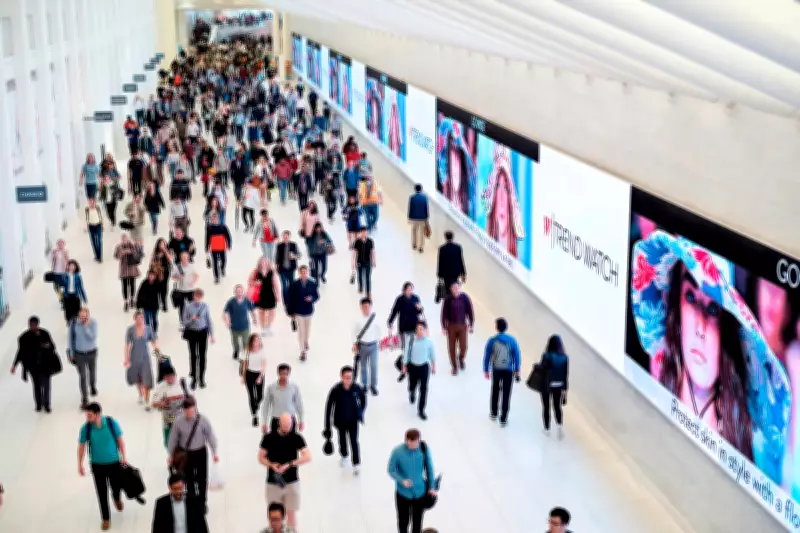 Young Americans' Job Optimism Plunges, Older Adults Stay Upbeat: Gallup