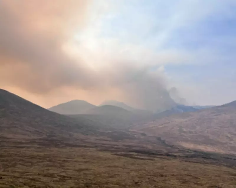 Young Diary: Mourne Mountains Fire Forces Family to Change Walk