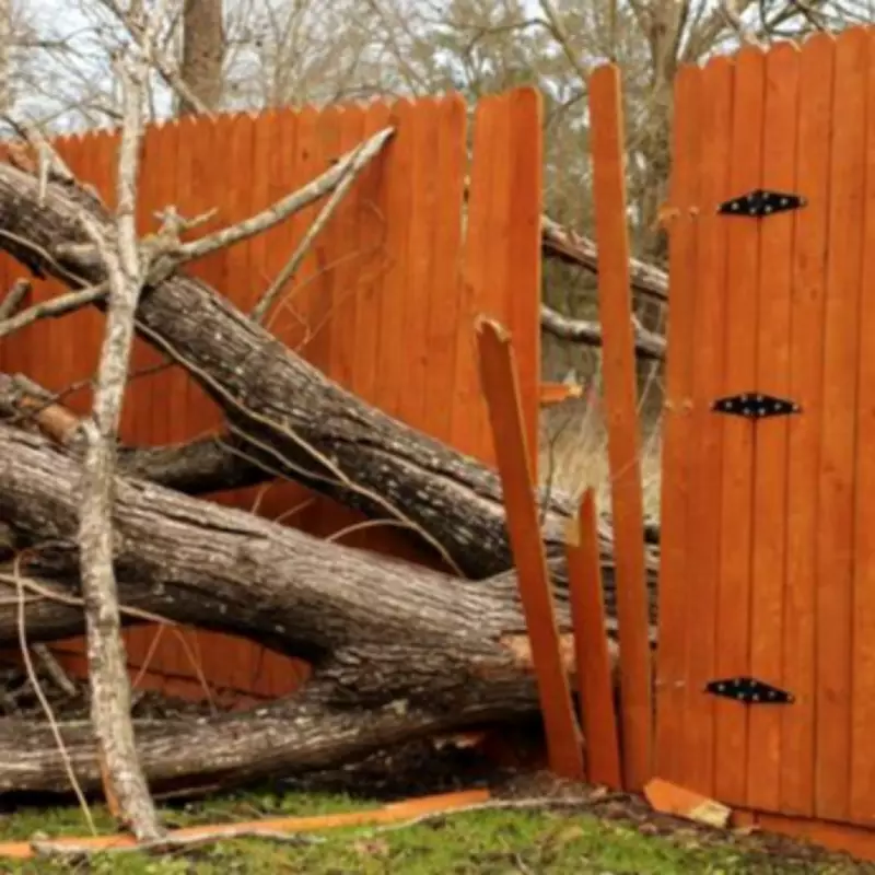 Your Legal Rights If a Neighbour's Tree or Hedge Damages Your Fence
