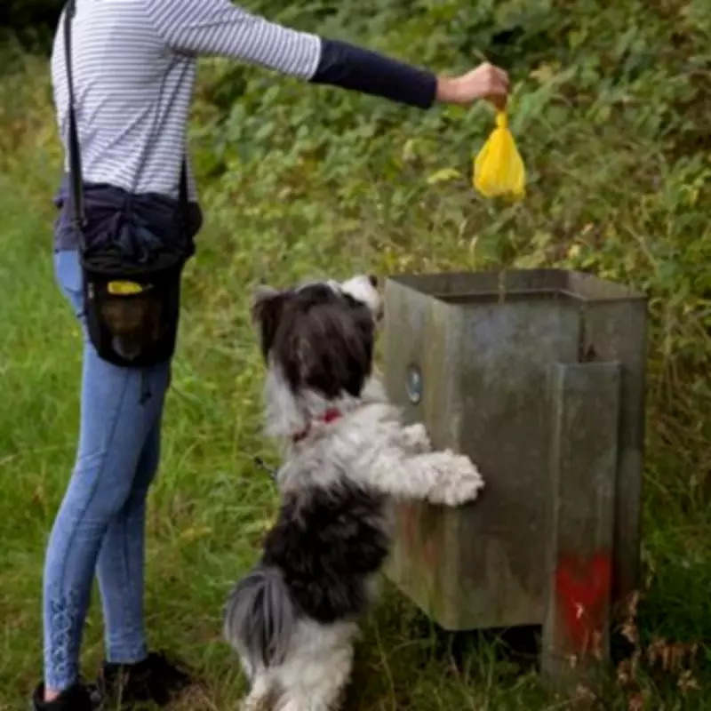 Your Legal Rights If Your Neighbour Won't Pick Up After Their Dog