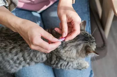Advantage Cat Flea Treatment: Fast-Acting Monthly Protection