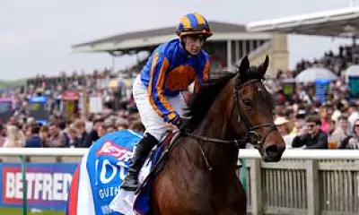 Aidan O'Brien Hails 'Monster' True Love After 1,000 Guineas Win at Newmarket