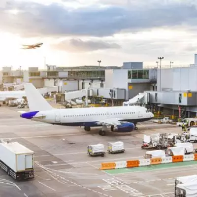 Airlines Cancel 24 Flights and Delay 317 in One Day Amid Travel Chaos