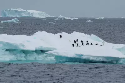 Antarctic Sea Ice Hits Record Lows Due to Climate Change, Scientists Warn