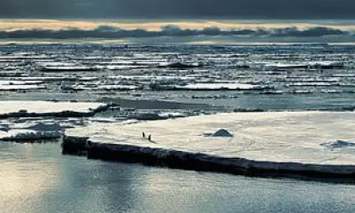 Antarctica Hit by Triple Whammy of Climate Chaos, Sea Ice at Record Lows
