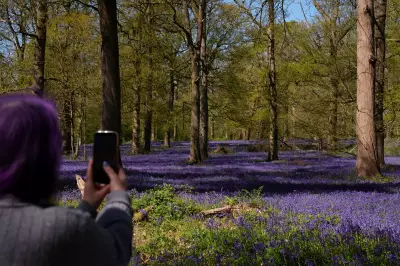 Arctic Air Brings Cooler Temperatures and Frost to UK This Week