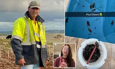 Australian Farmers Battle Devastating Mouse Plague Infesting Homes