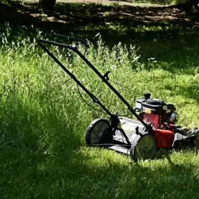 Avoid Mowing Your Lawn This Bank Holiday Weekend, Experts Warn