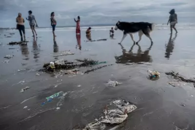 Bali's Waste Crisis Deepens as Landfill Restrictions Disrupt Collection