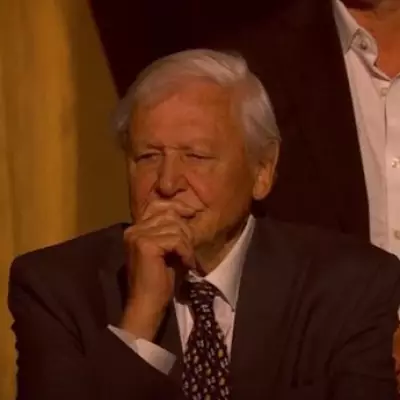 BBC David Attenborough 100th Birthday Special Moves Viewers to Tears