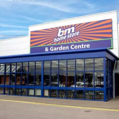 B&M's £10 Picnic Bag Is a Summer Bargain, £6 Cheaper Than Sainsbury's
