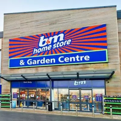 B&M's £8 Tulips in Glass Vase Triggers 'Low Stock' Alert