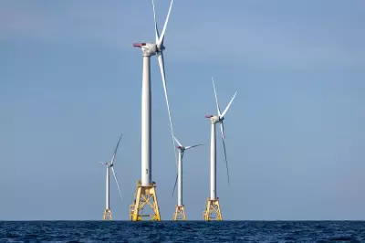 California Probes Trump's $2B Deal to Scrap Offshore Wind