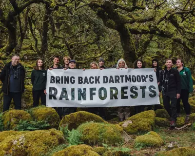 Campaign to Double England's Temperate Rainforest on Dartmoor