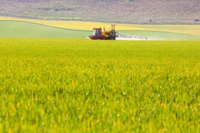 Campaigners Urge UK to Ban Glyphosate at Harvest After EU Prohibition