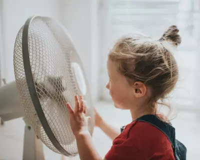 Cheap Homemade Air-Con and Summer Survival Tips from Readers