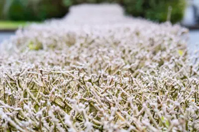 Coldest May Night in Five Years Recorded in UK as Temperatures Plunge