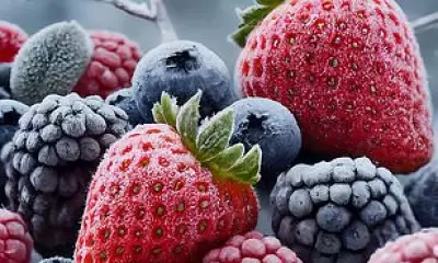 Dark Fruits and One Coffee Daily May Slow Ageing, Study Finds