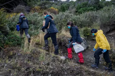 Deadly Hantavirus Outbreak Prompts Rodent Hunt in Argentina