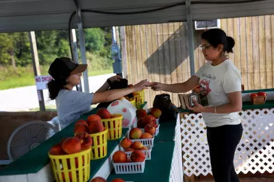 Del Monte Closure Forces Removal of 420,000 Peach Trees in California