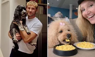 Dog Owners Ditch Kibble for Fresh, Human-Grade Meals for Their Pets
