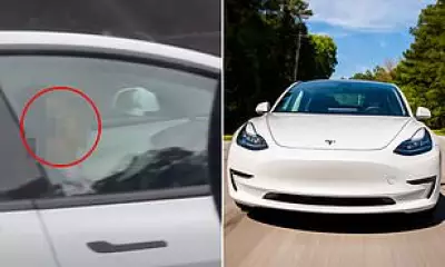 Driver Sleeping at Wheel of Self-Driving Tesla Caught on Highway