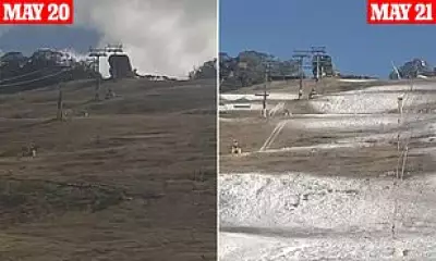 El Niño Threatens 2026 Australian Snow Season with Warm, Dry Winter