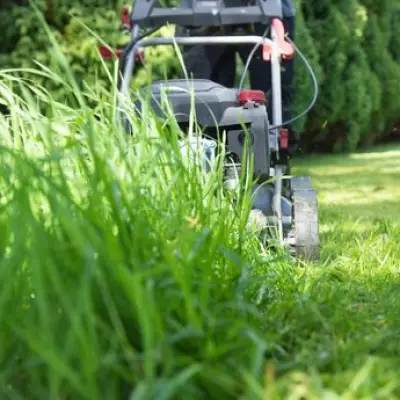 Expert Warns Against Triple Action Lawn Products in May