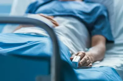 Hantavirus Symptoms: How to Spot the Deadly Rodent-Borne Disease