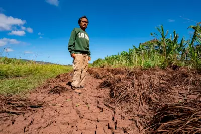 Hawaii Floods Devastate Farms, Threaten Local Food Supply
