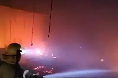 Huge Fire at Thailand Hotel Forces Evacuation of 240 Guests in Pattaya