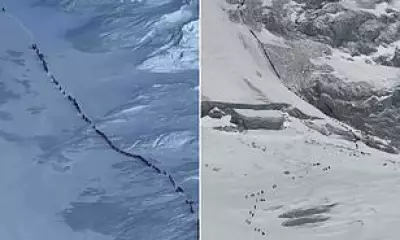 Hundreds of Everest Climbers Queue in Dangerous 'Death Zone'