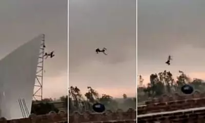 Indian Man Survives 40-Foot Roof Launch During Deadly Storm
