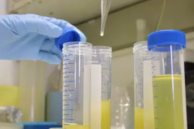 Innovative Urine Test for Early Lung Cancer Could Reach NHS in Five Years