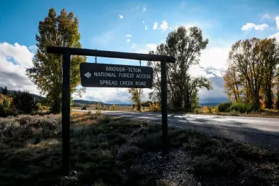 Jackson Hole Trails Study Reveals Wildlife Coexists with Heavy Recreation