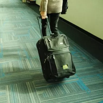 Magnicharters Files for Bankruptcy Following Spirit Airlines Shutdown