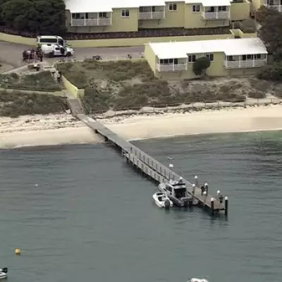 Man Critical After 5-Metre Shark Attack at Australian Tourist Island