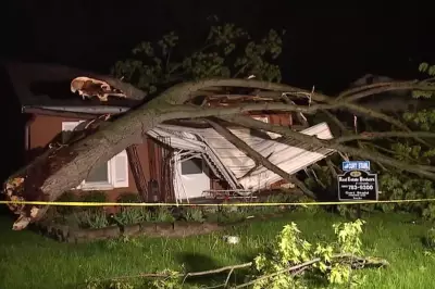 Michigan Home Crushed by Tree Just One Day After Sale