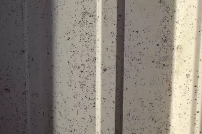 Mysterious Black Dust Blankets Oklahoma Town, Residents Seek Answers