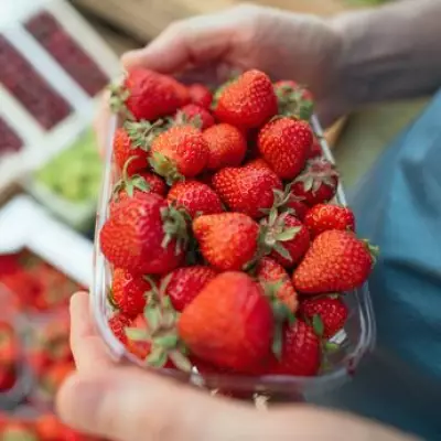 Never Store Strawberries Without Soaking in Baking Soda for Longer Freshness