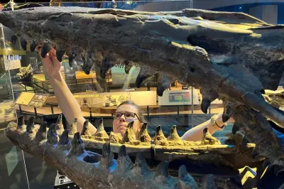 New Marine Dinosaur Tylosaurus Rex Was Twice Size of Great White Shark