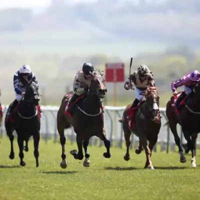 Newsboy's Tuesday Tips: Bayraat Nap at Redcar, Alice De Clare at Leicester