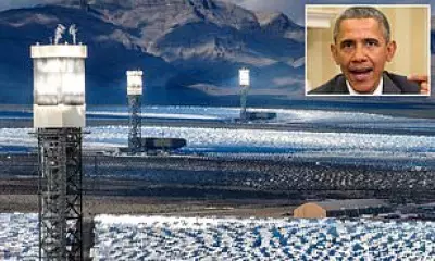 Obama-Backed Solar Plant in California Desert May Cost Taxpayers More