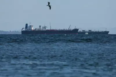 Oil Prices Drop as Trump Signals Progress in Iran Peace Talks