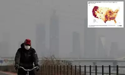 One Hour of Polluted Air Can Alter Brain and Lung Function, Study Finds