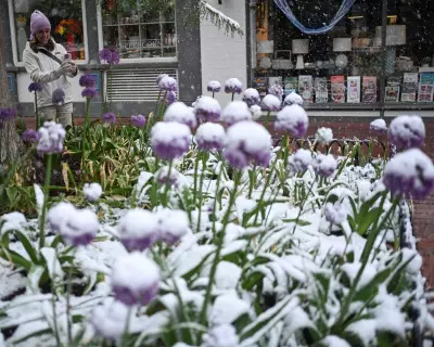 Rare Spring Snowstorm Blankets Colorado in May
